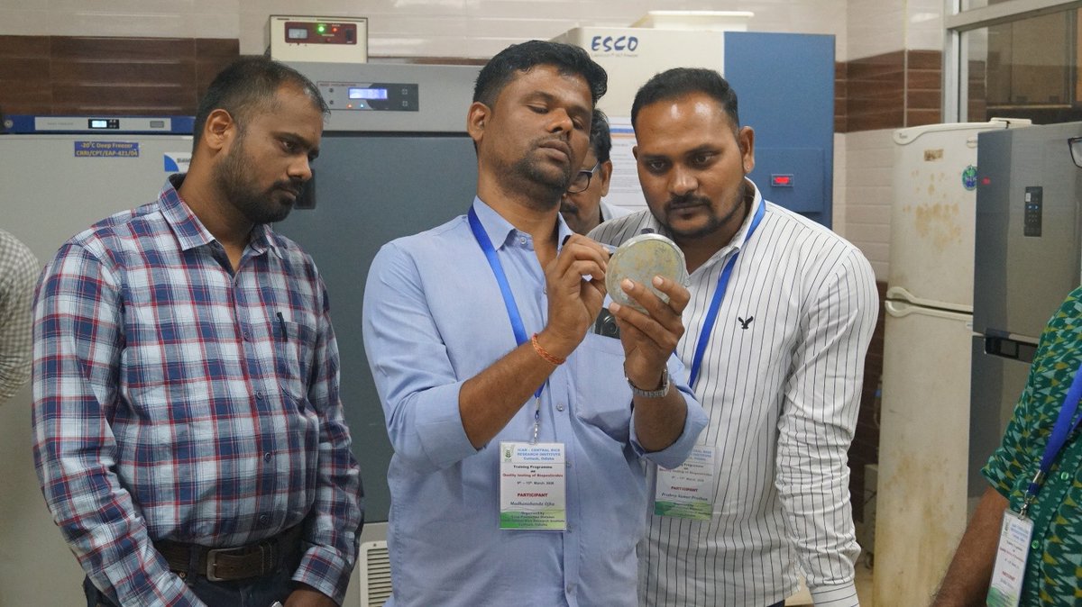 ICAR-Central Rice Research Institute tweet media