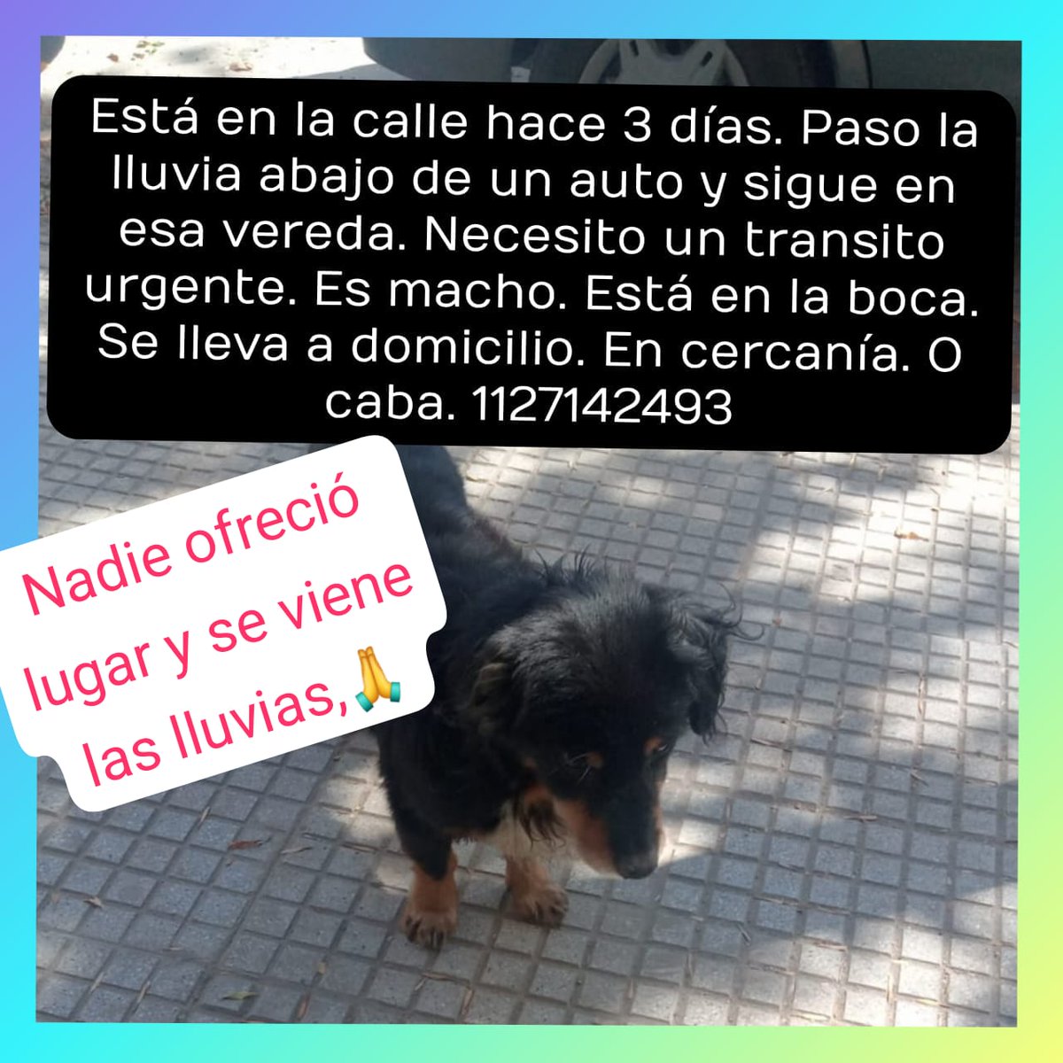 Rt
Urgente!!