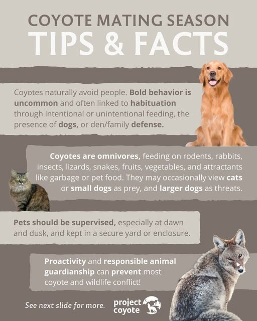 BanKillingContests tweet media