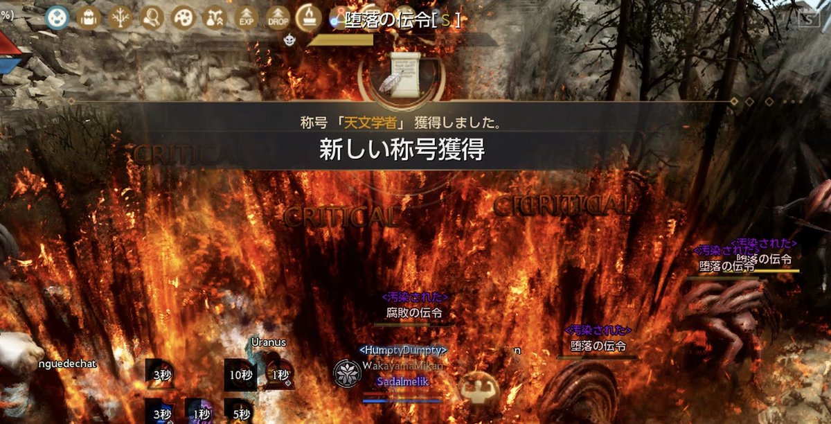 和歌山みかん tweet media