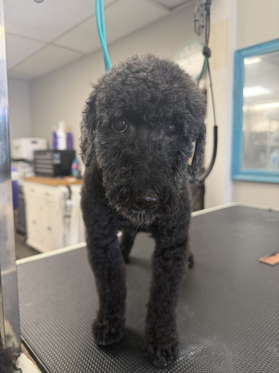 WhitWhit tweet media