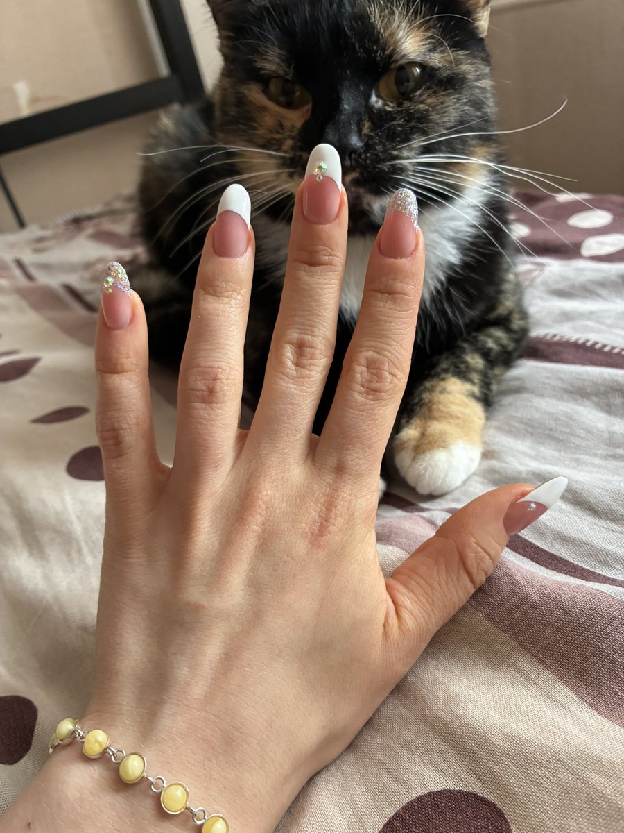 агнес tweet media