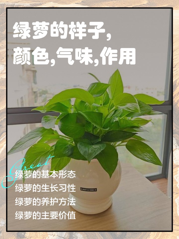 Nate Stone tweet media