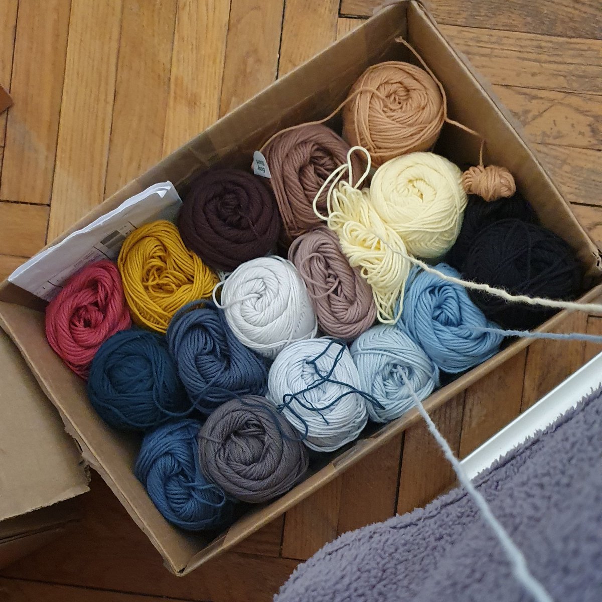 HowManyDaysUntilGrammis tweet media