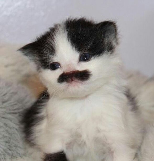 𝙛𝙞𝙫𝙚 ྀི tweet media