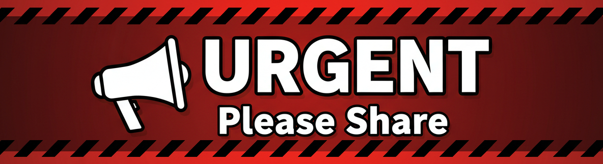 Save America🐺💔 🇺🇸 💪🦅⌛️🙏 Save America tweet media