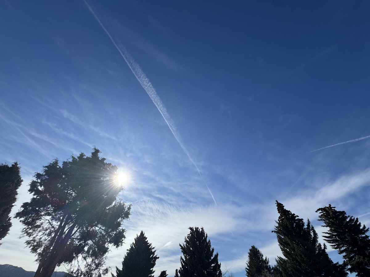 Warren Harris tweet media