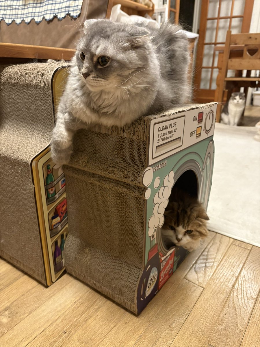 二階建て…って後ろにも誰かの影が‼️