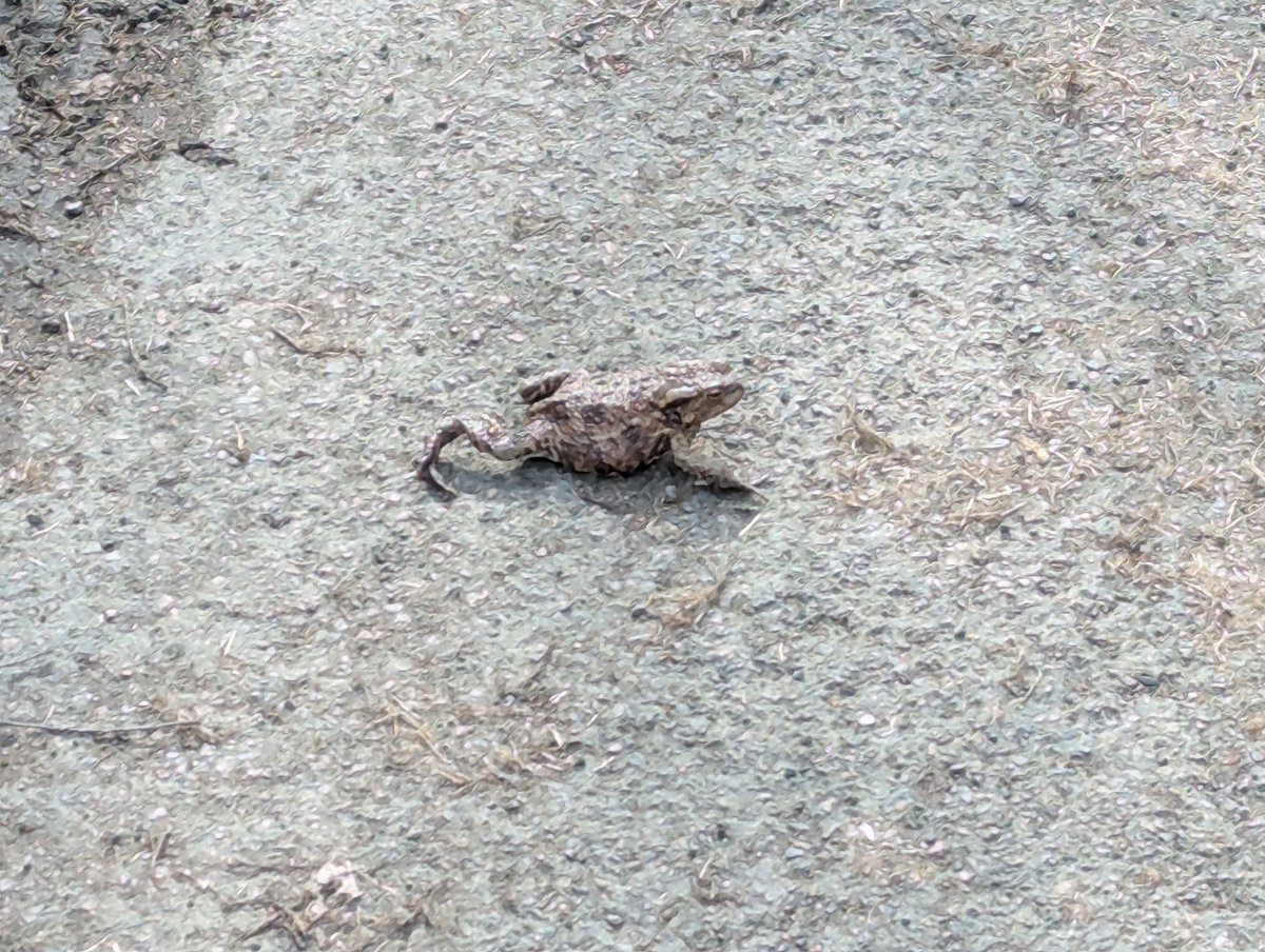 ScratchedWinter tweet media