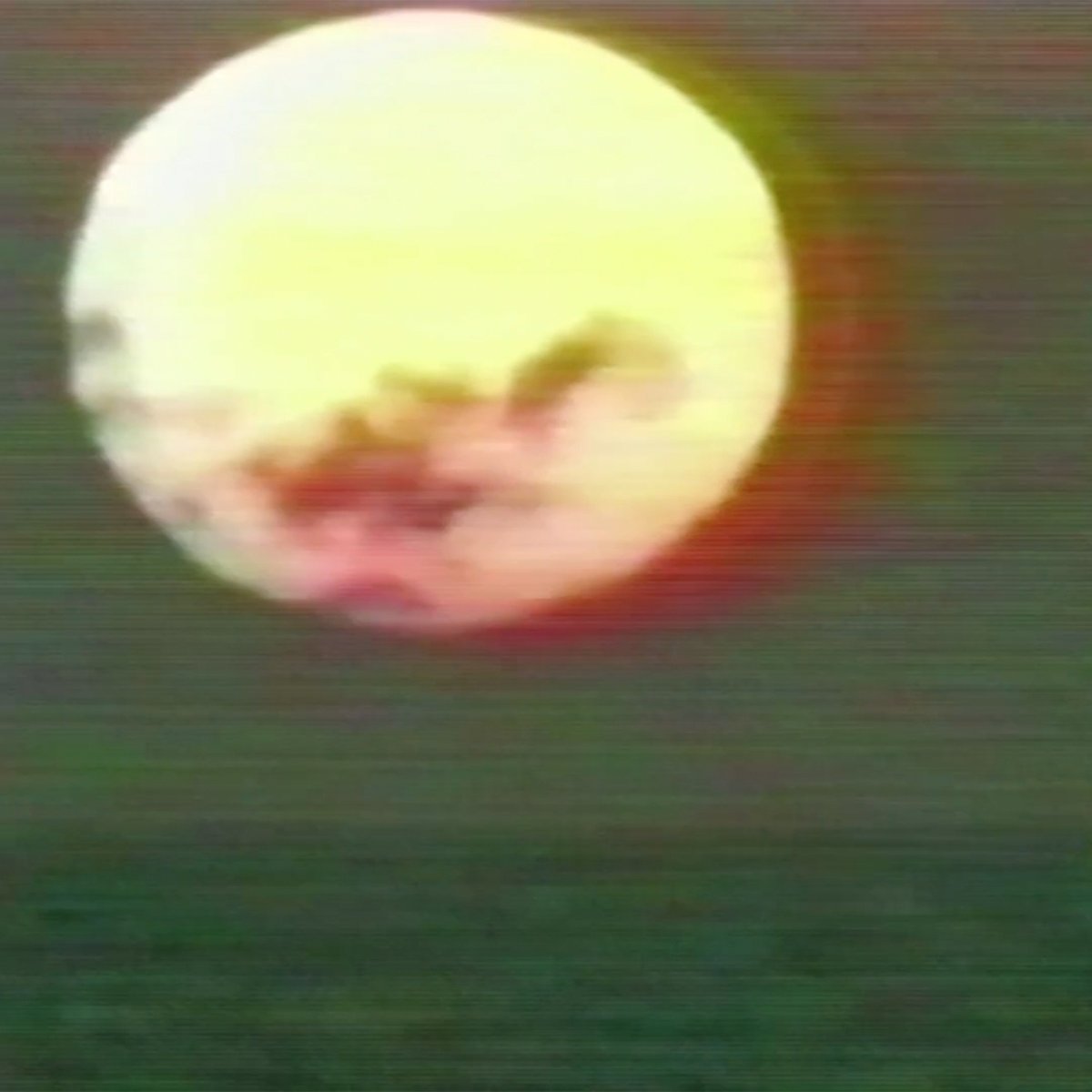 Warp Records tweet media