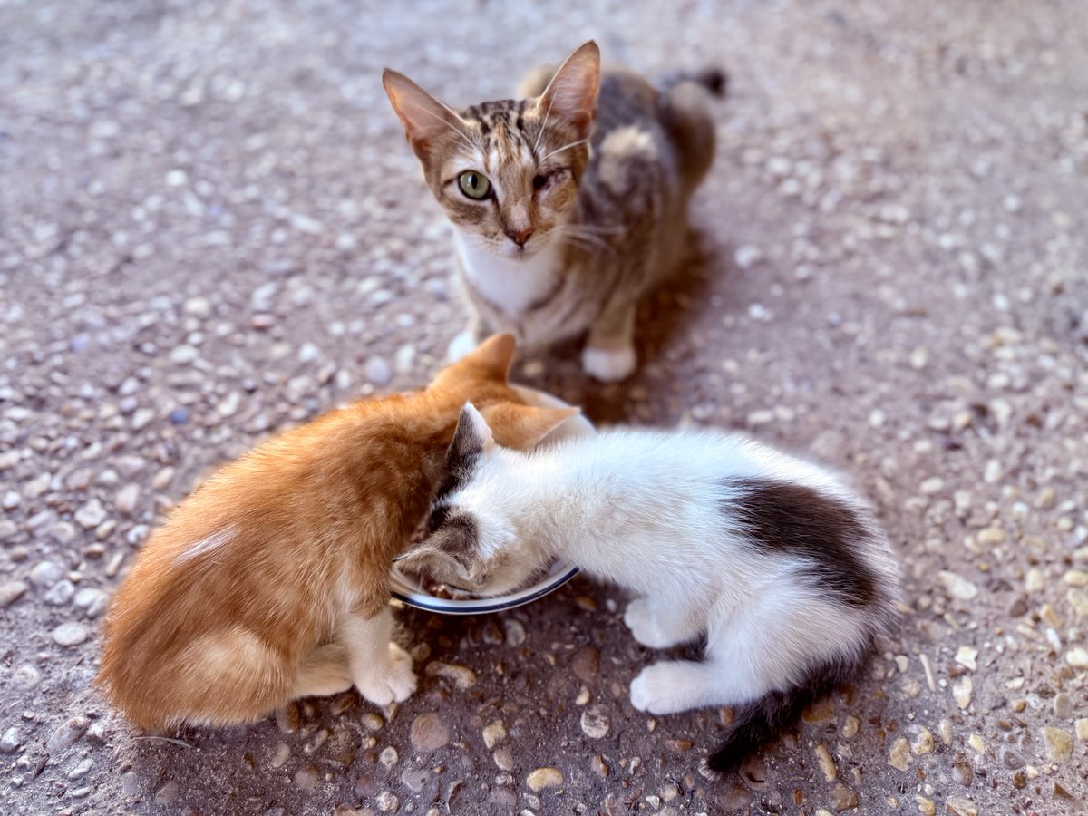 Jason “Storm Chaser” Nelson tweet media