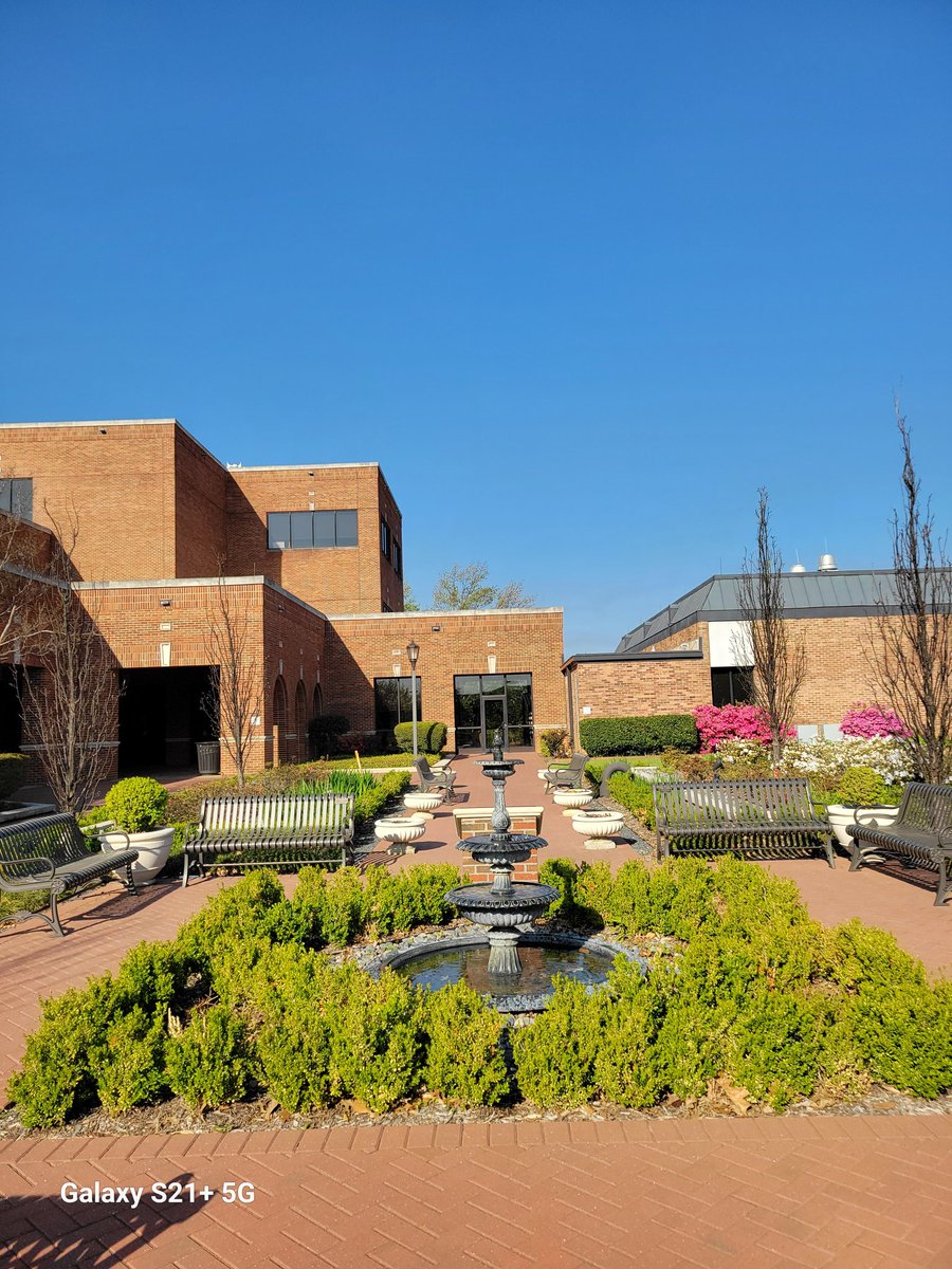 Trenia Tillis Hoard tweet media