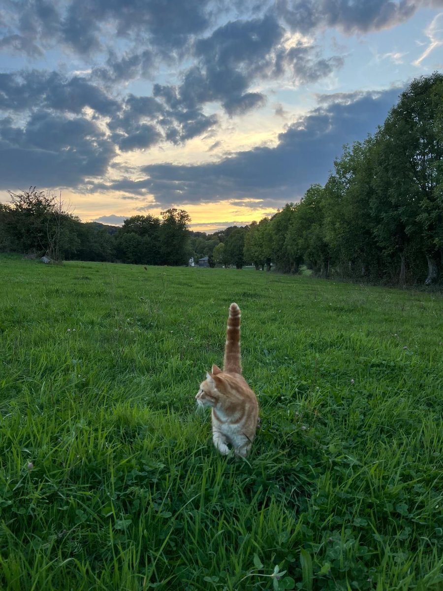 Diya&Bob🍻 tweet media