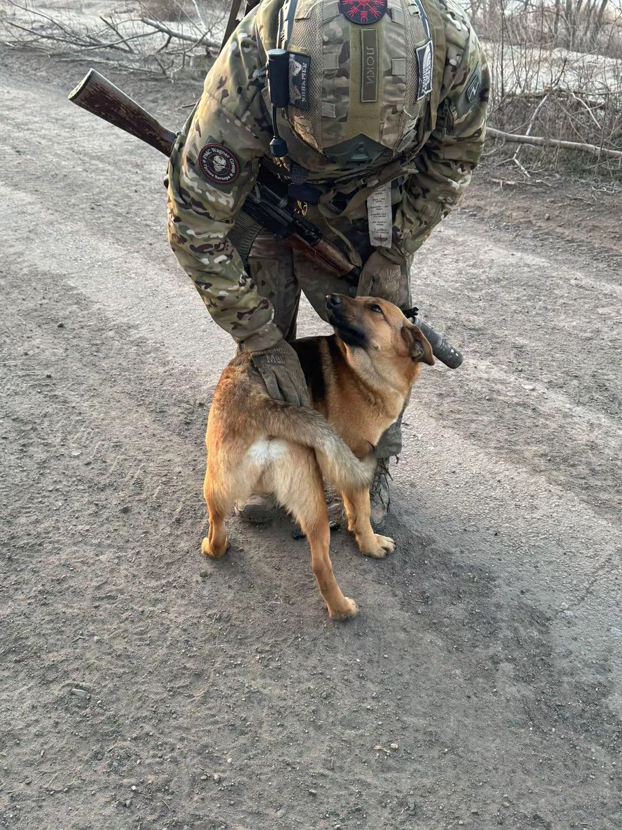 Andrei 🪶 tweet media