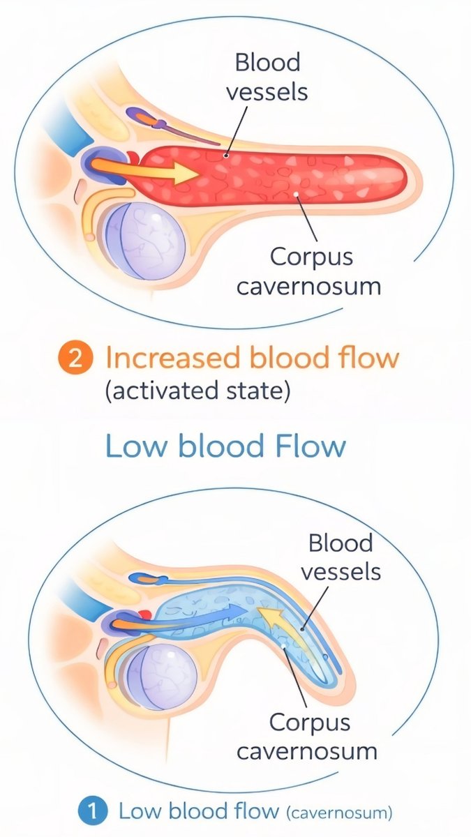 Dr. Biohacker tweet media