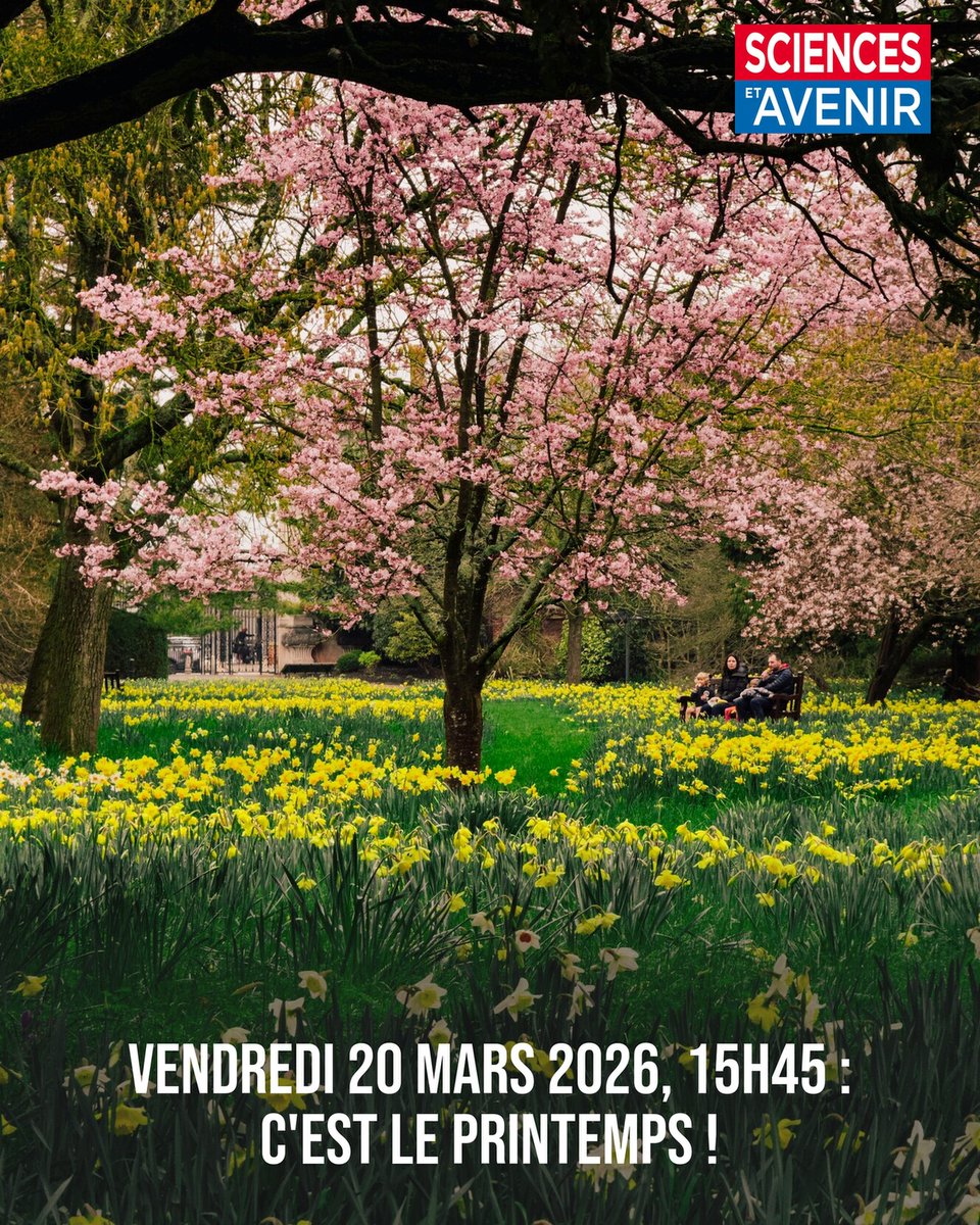 Sciences_Avenir's tweet image. Vendredi 20 mars 2026, 15h45 : le Soleil est passé au zénith sur l'équateur terrestre, c'est l'équinoxe.

En d'autres termes : nous sommes officiellement au #printemps ! 🌷🌳🐣🎋🐿🐇🌻🌞