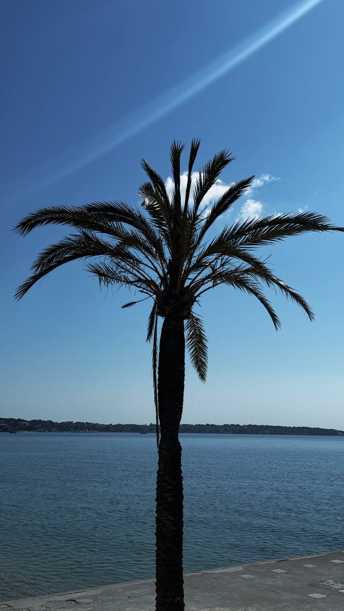 ClemCaro06's tweet image. Déjeuner au soleil ☀️😎#LunchTime #VendrediMidi #EndOfWeek #CôtedAzur #LaVieEnBleu #GolfeJuan