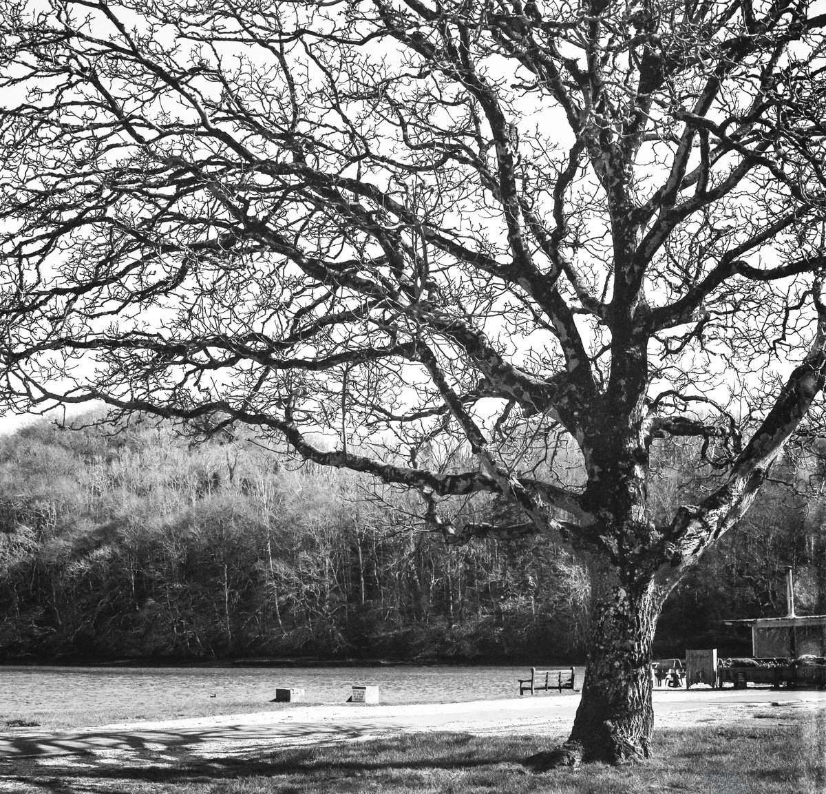 Steve Edwards #The Smoking Photographer tweet media