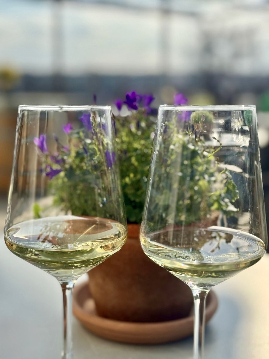 Spirelli79's tweet photo. #passt #grünerveltliner https://t.co/acMLGkHvkU