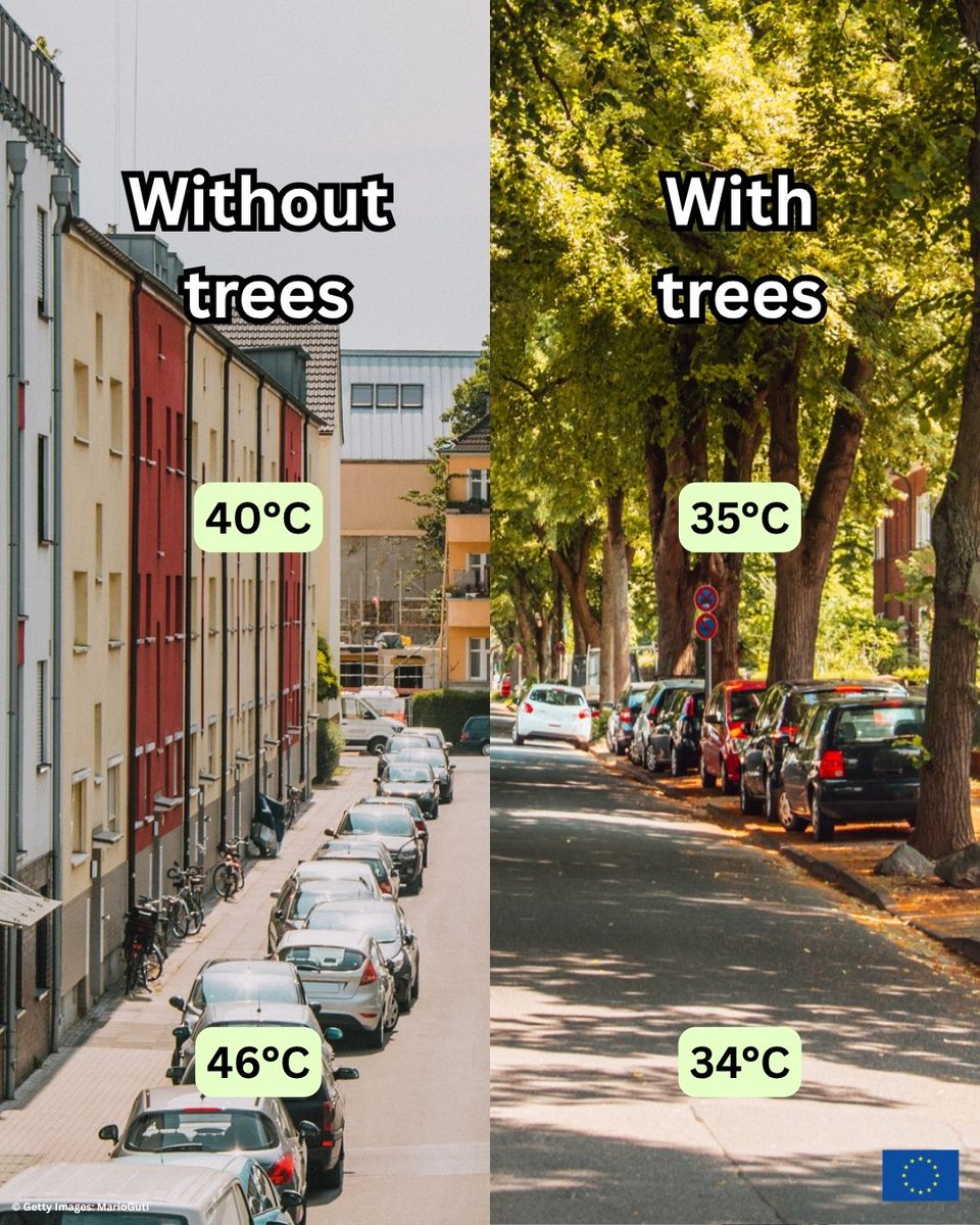 EU Environment tweet media