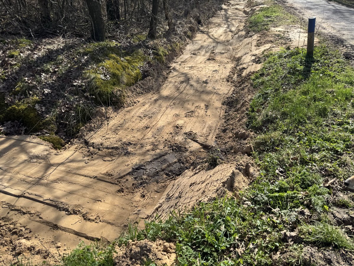 Jan Born tweet media