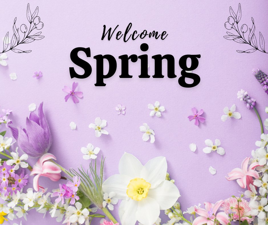 agingwithdd tweet media