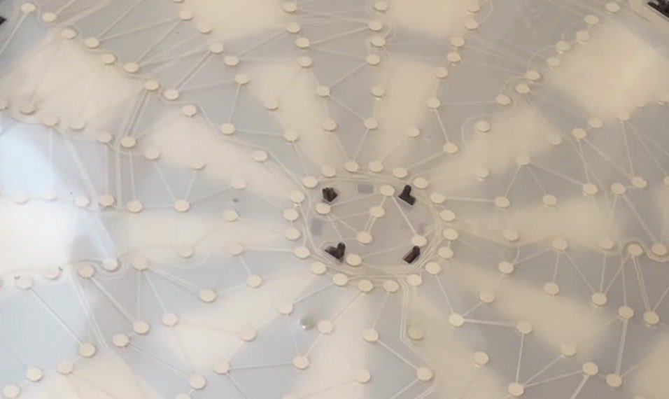 熊田（くま） tweet media