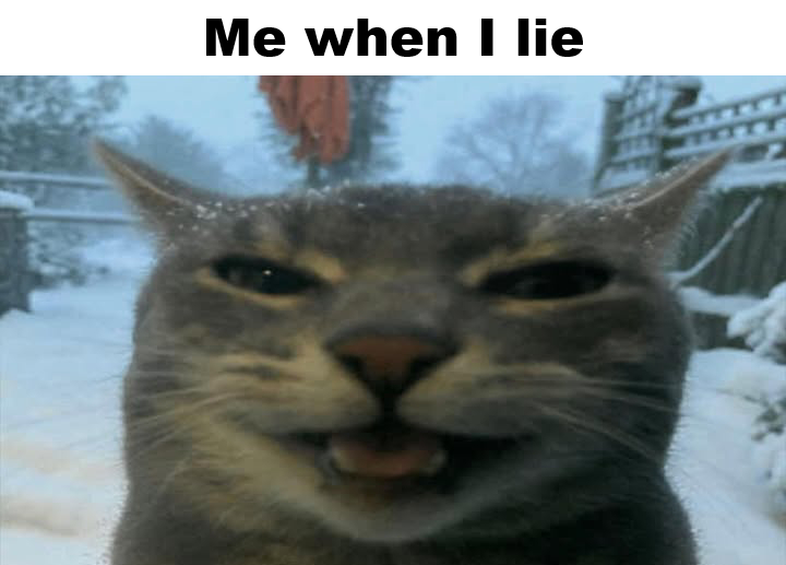 Swapped.com tweet media