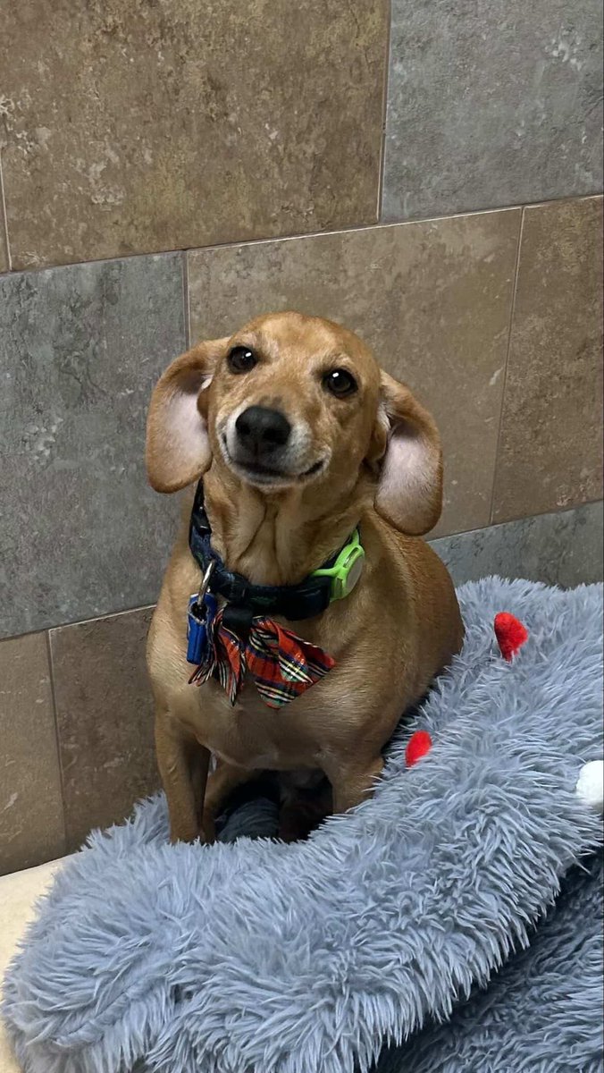 Manisha Pai tweet media