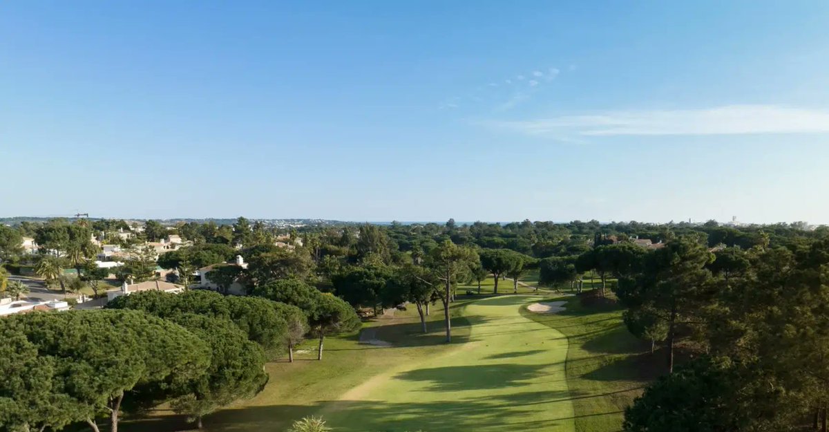 A Golfing Experience tweet media