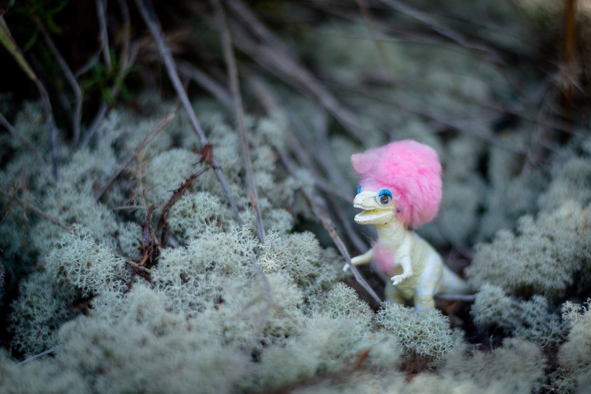 ostensible spam tweet media