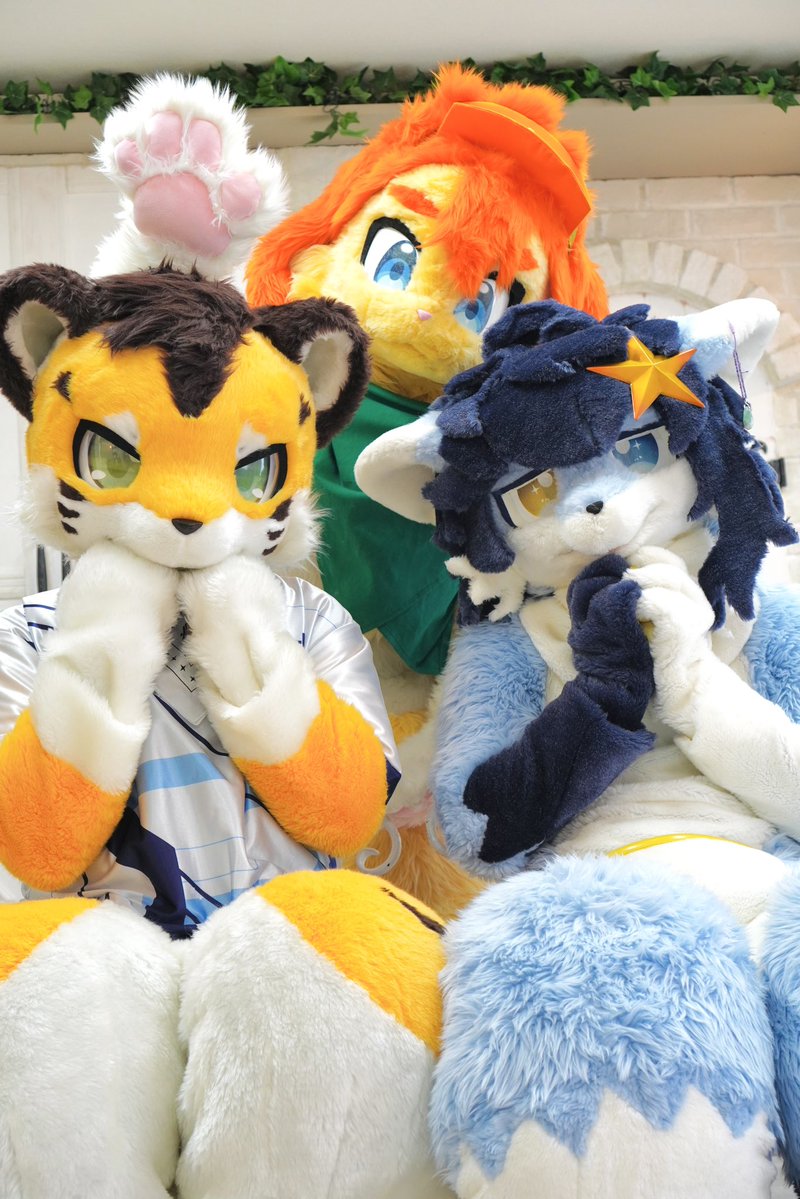 こもり tweet media