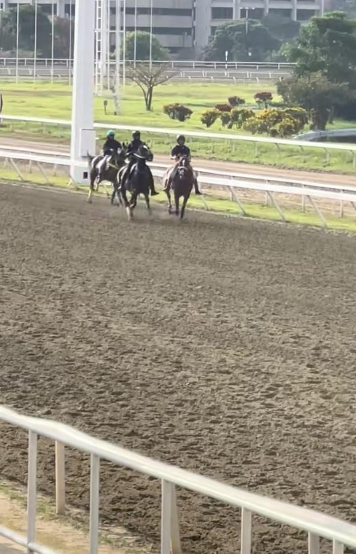 PabloJota27's tweet photo. ((( #GALOPES ))) Hoy Día Muchos Galopes Con Miras A Las Competencias De Este Domingo Donde #LOQUEHAYVIDARSVERGA Y Cuidado Con Esas SUPUESTAS TORRES DE PAPEL, Que Aquí Andamos Buscando Una PRINCESA SUSEJ De Buen Dividendo O Una TORRE DE PAPEL Como TIZ ERIN #DOMINGODECONSEGUIR 🤑🤑 https://t.co/1D1rgdLjrO