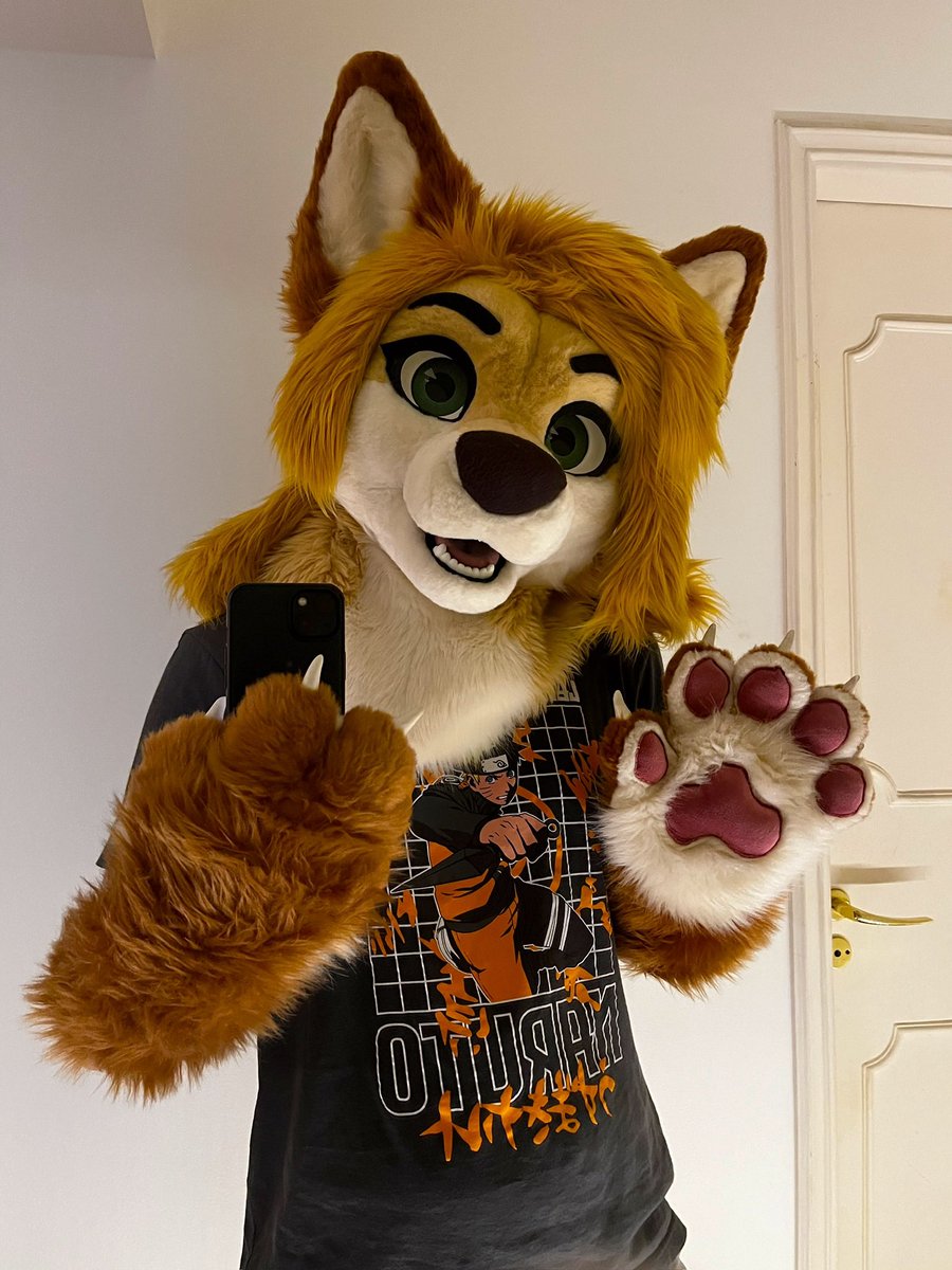 Renn 🍁 tweet media