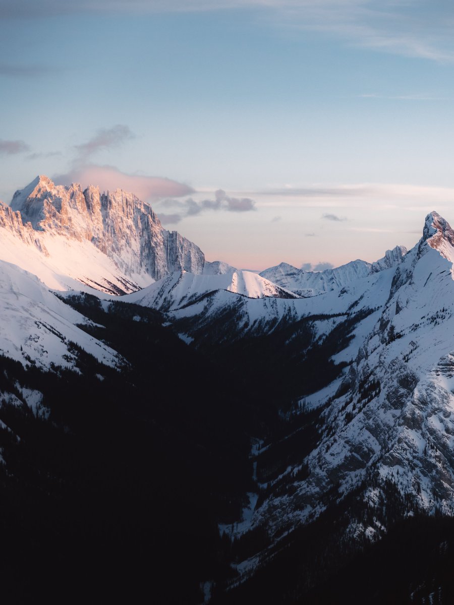 Alex Mack tweet media