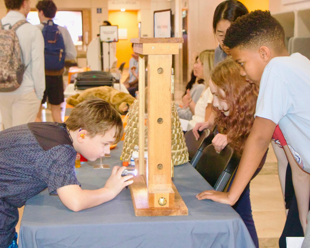 UT Libraries tweet media