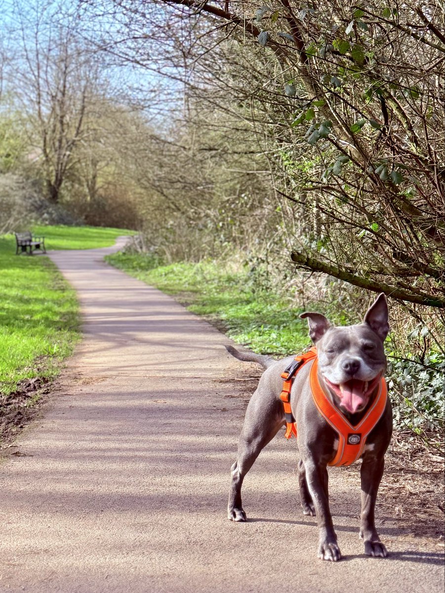 Isa Mary tweet media