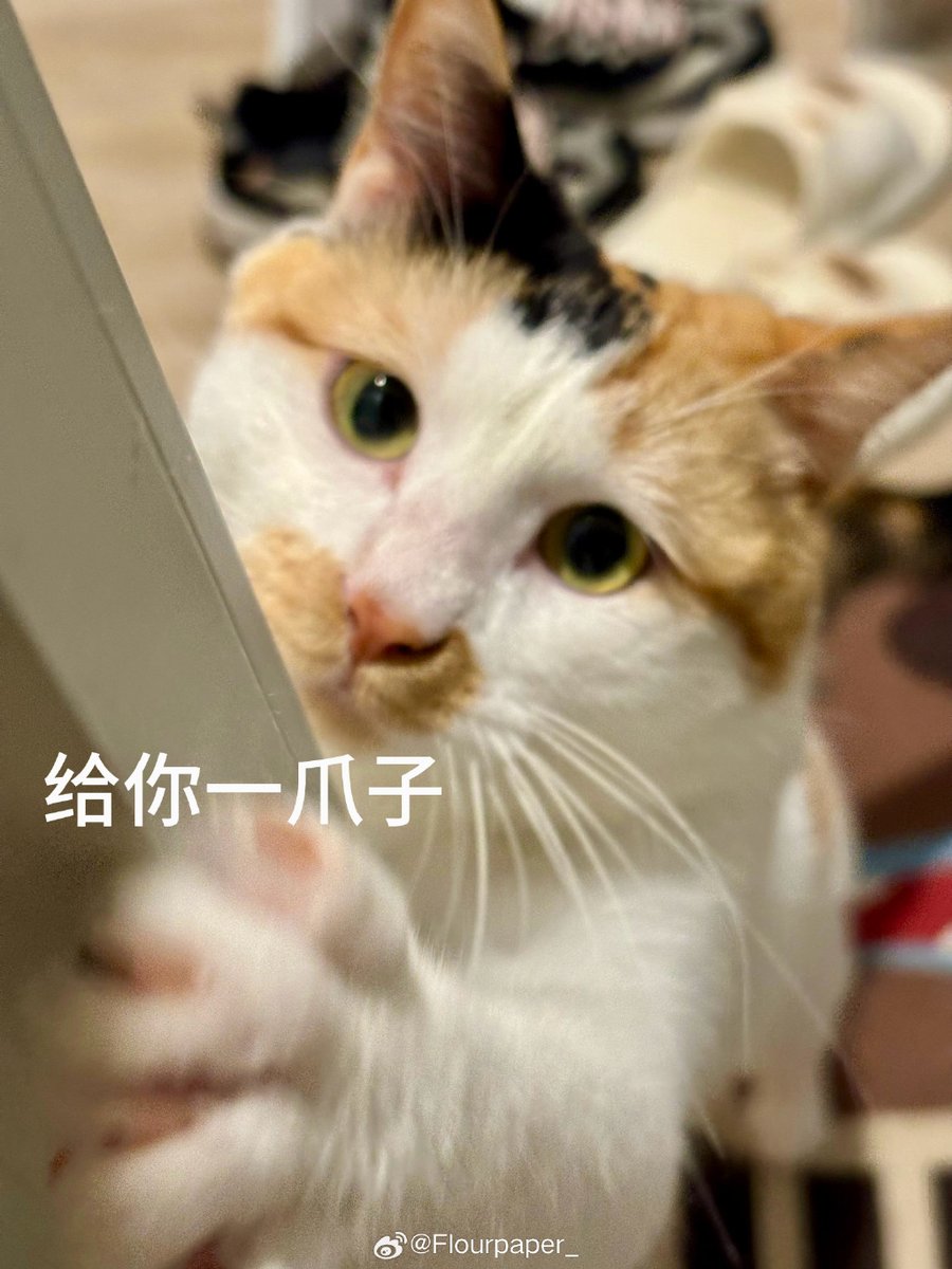 Chantell tweet media