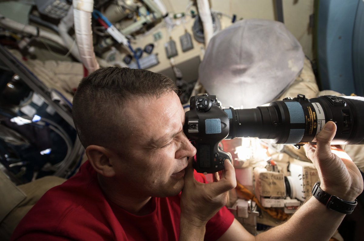 Jack Fischer tweet media