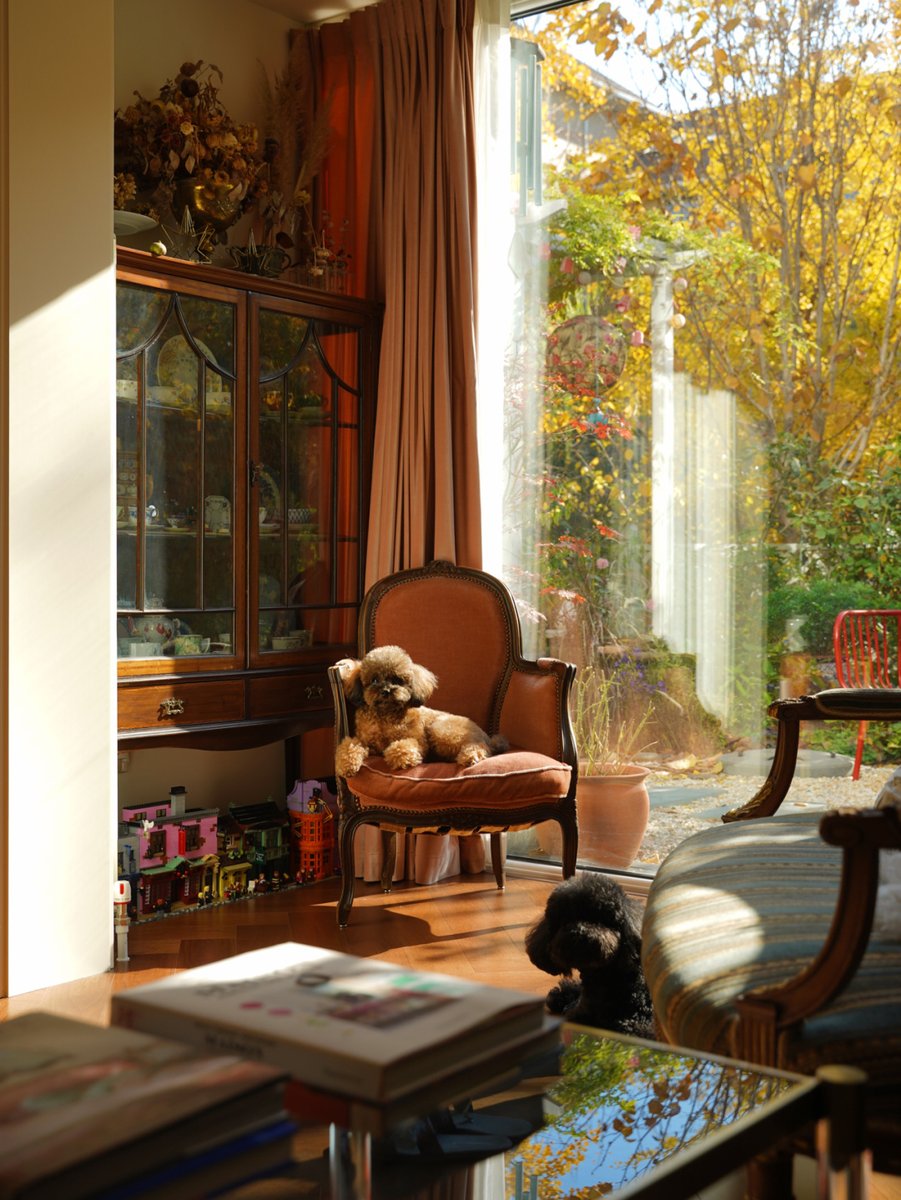 Esteban Yee Jaime tweet media