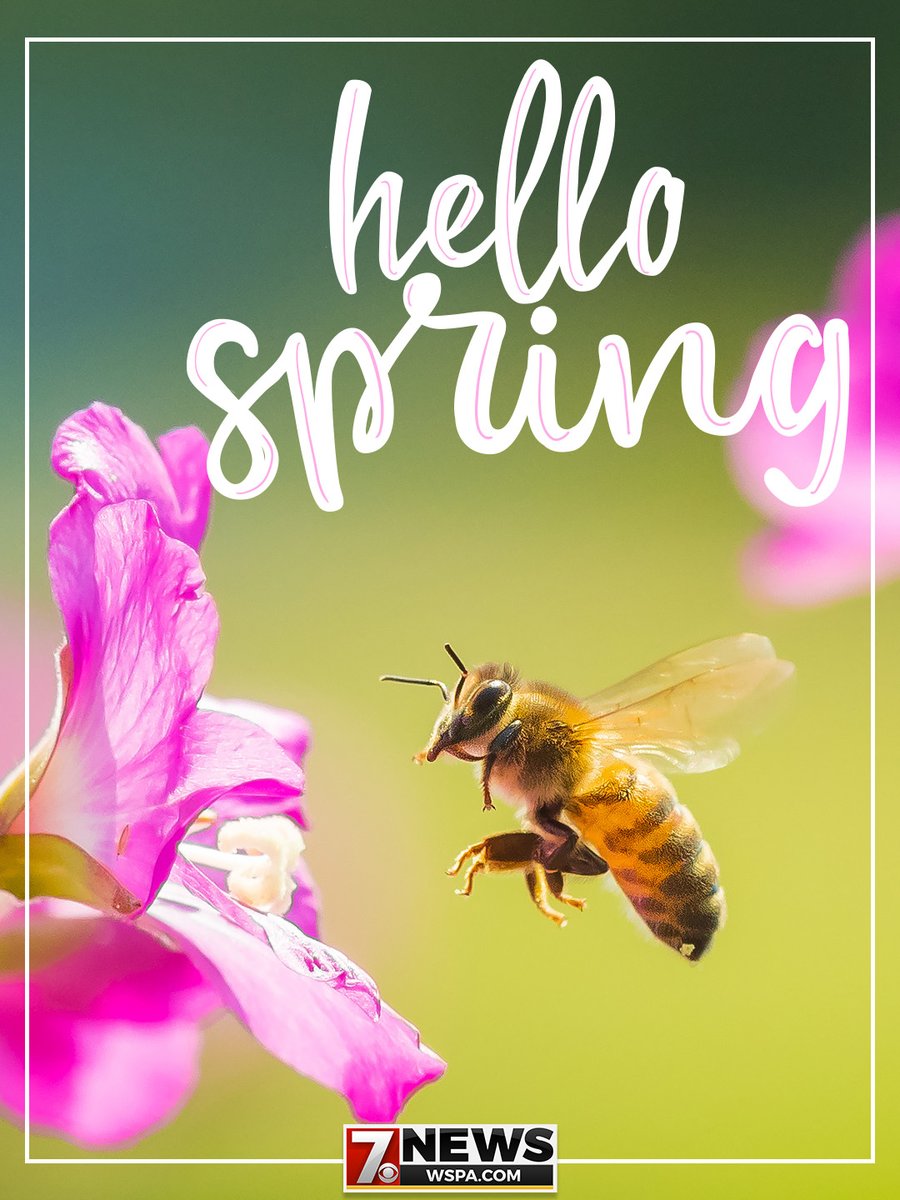 WSPA 7NEWS tweet media