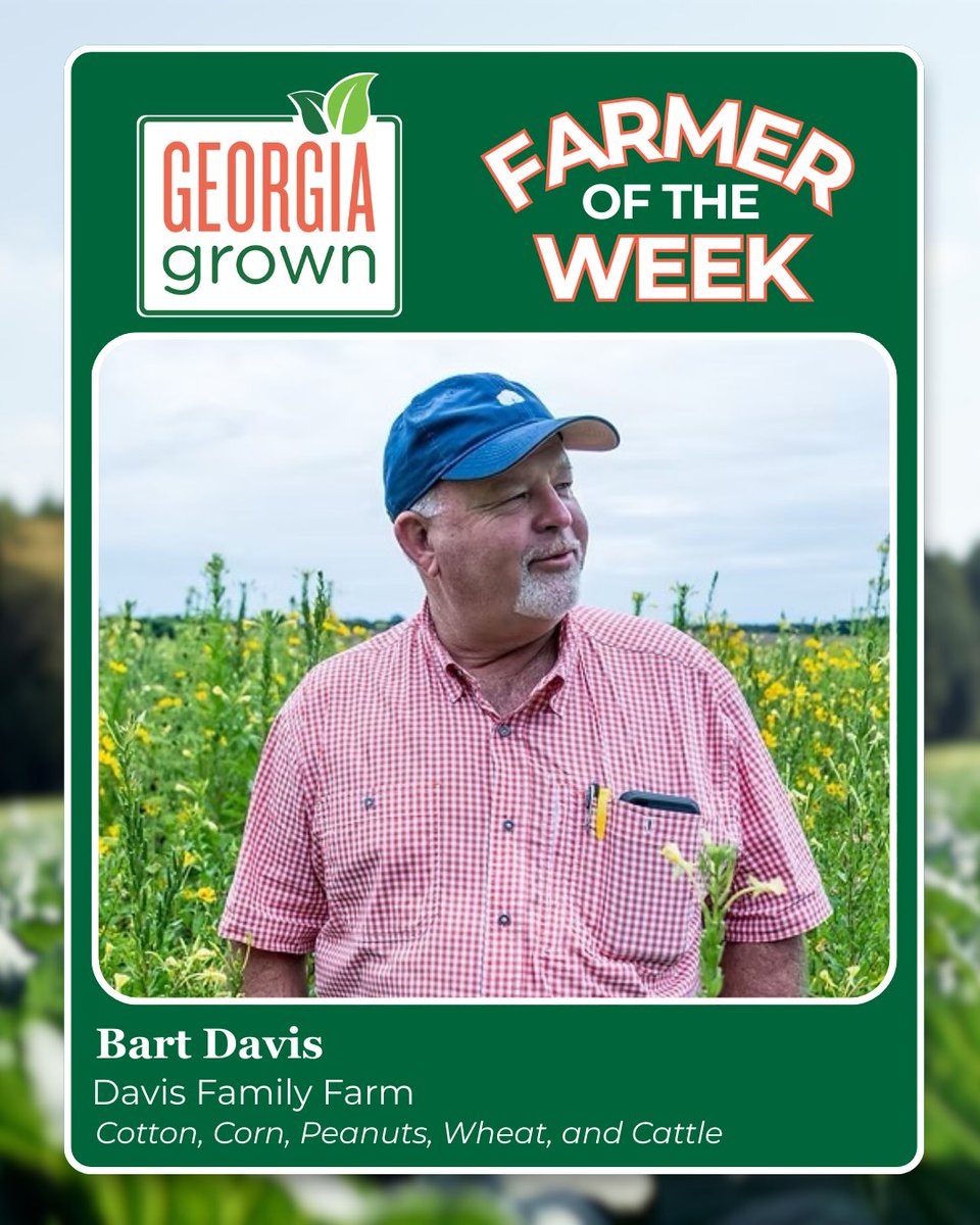 GeorgiaGrown tweet media