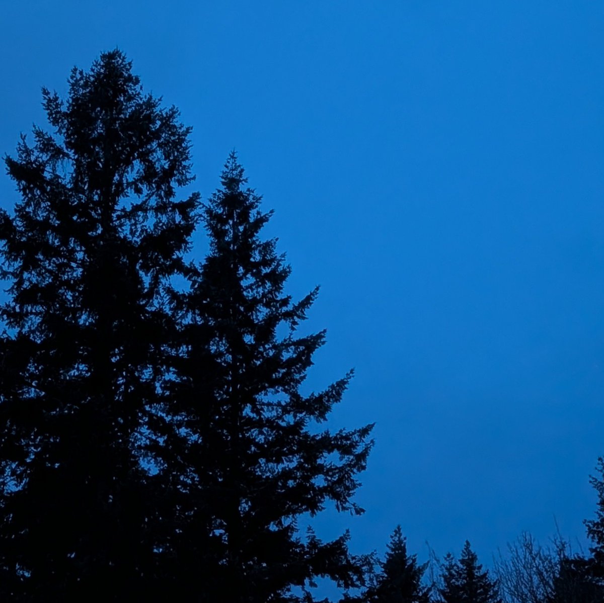 The Questing Geek tweet media