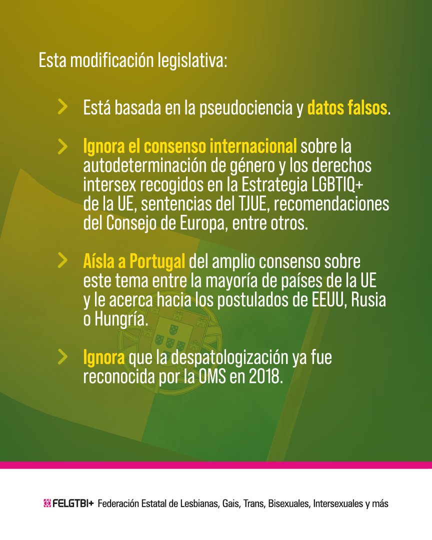 Federación Estatal LGTBI+ tweet media