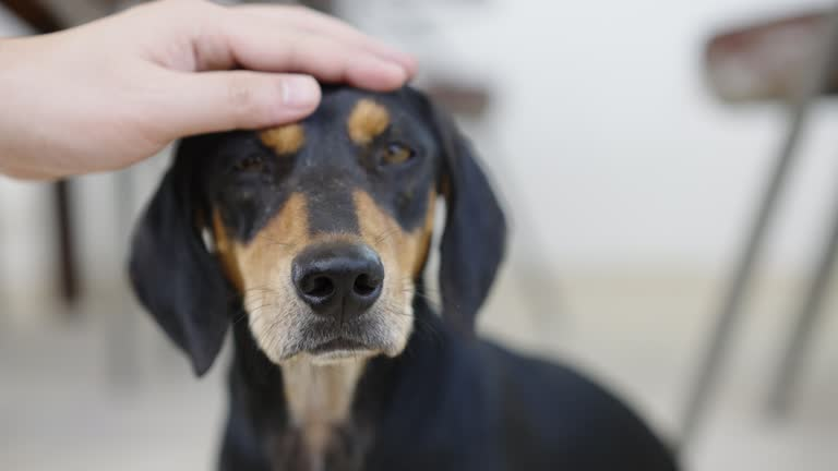 Swapped.com tweet media