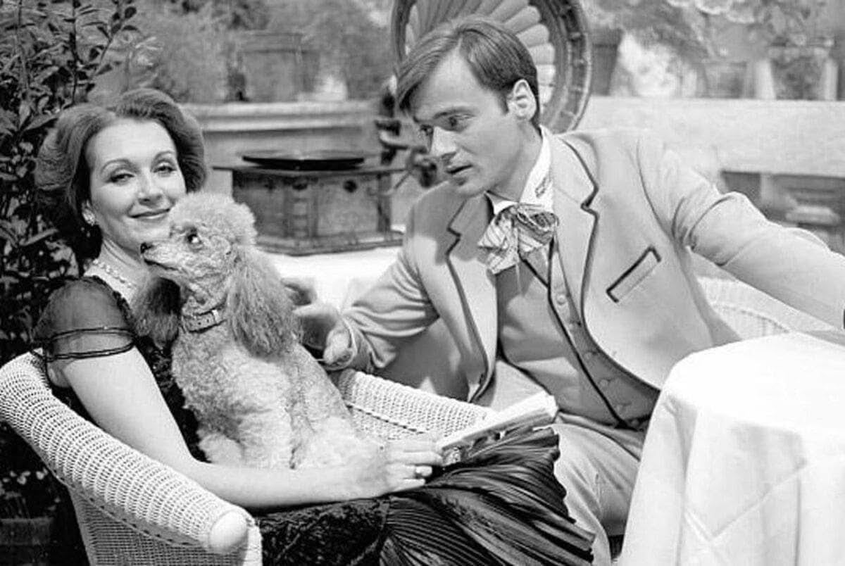 Zlatko Crnogorac tweet media