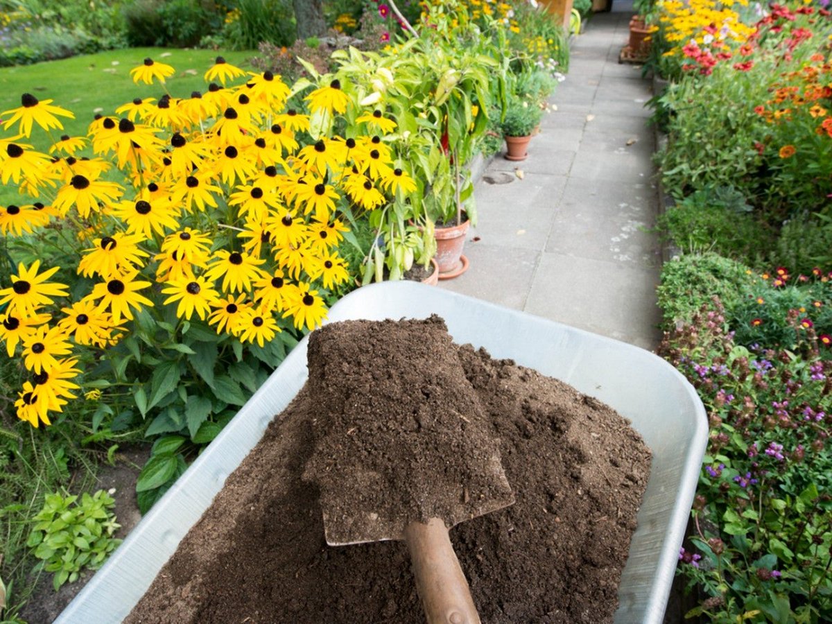 DisposeWisely's tweet photo. Garden season is upon us! Want to help make better gardens and reduce waste? Find out how you can compost with us. We have at home containers for compost and a public drop off! #Disposewisely https://t.co/HGENwccP6X