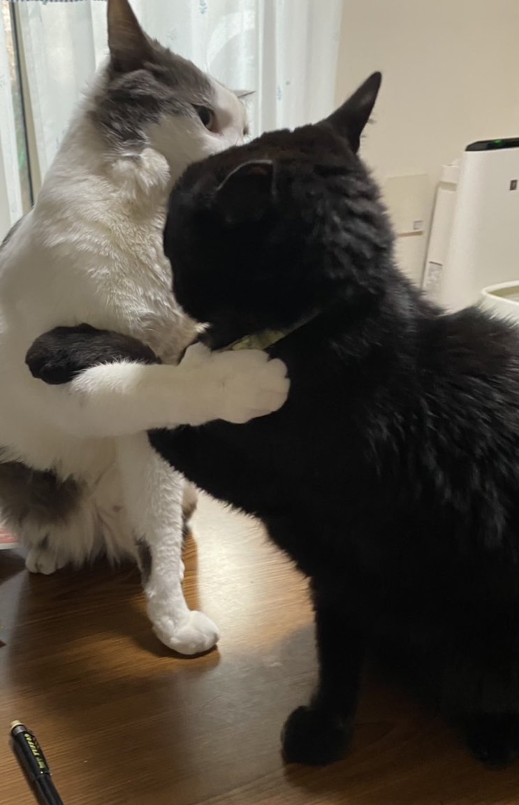 とよ田みのる tweet media