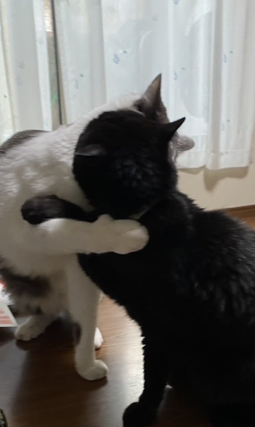 とよ田みのる tweet media