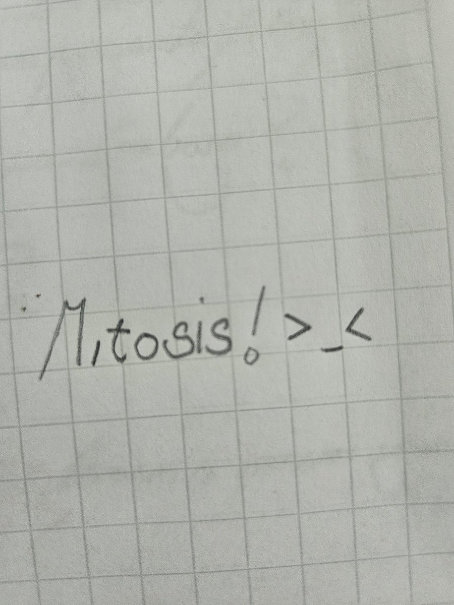 ひかる tweet media